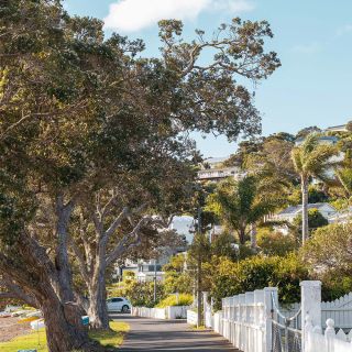 Beachfront walk Russell                   and below Otehei Bay, Urupukapuka