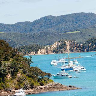 Boats anchored in the Bay of Islands