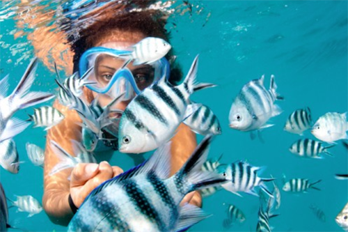 lonestar-snorkelling-seychelles